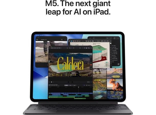 iPad Pro 11" (2025) 1TB 5G Sort 5G 