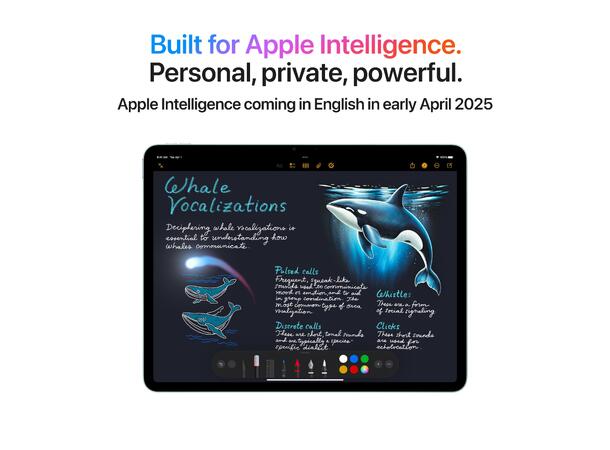 iPad Air 13" (2025) 128GB 5G Grå 7. gen, 13" Liquid Retina-skjerm 