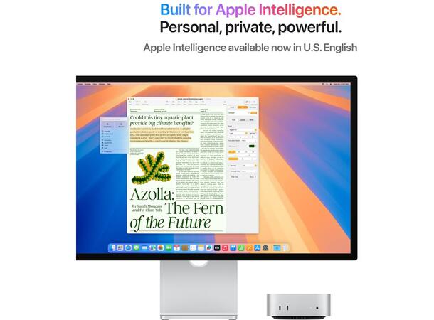 Mac Mini M4 (2024) 256GB 