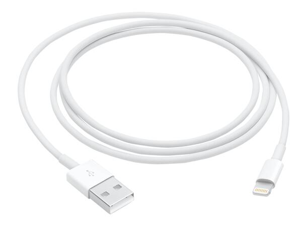 Apple Lightning to USB Cable 1m USB 2.0 cable 