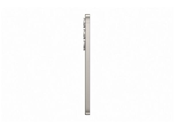 Galaxy S25 Ultra 256GB Enterprise Edition 