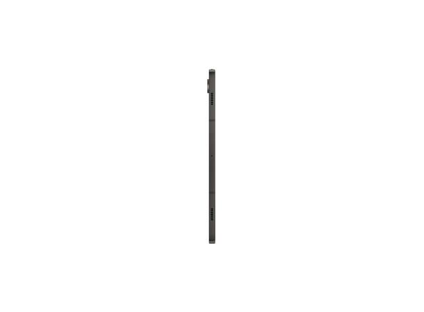 Samsung Tab S9 5G 256 GB Nettbrett 11" Inkl S Pen 